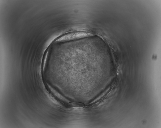 X0000101090052200807101558