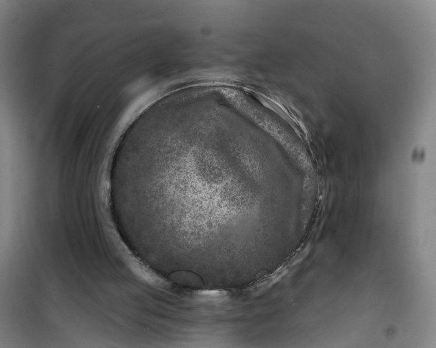 X0000101090053200807101558