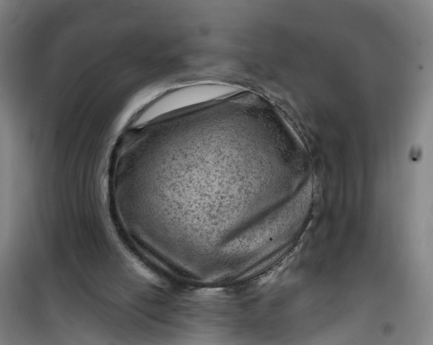 X0000101090054200807101558