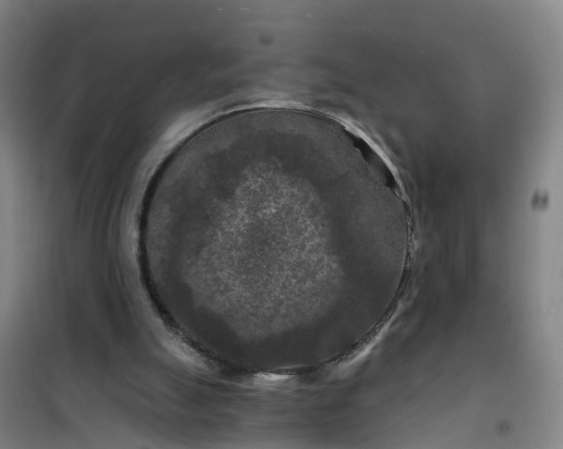 X0000101090055200807101558