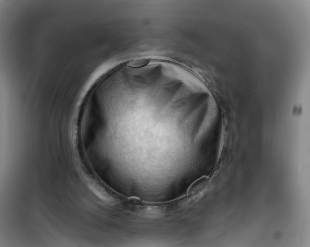 X0000101090056200807101558