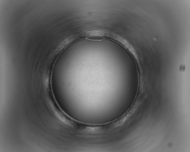 X0000101090057200807101558