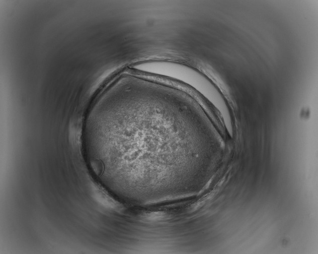 X0000101090058200807101558