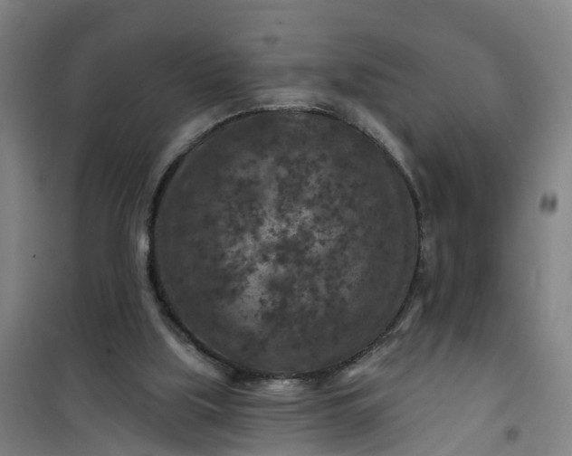 X0000101090059200807101558