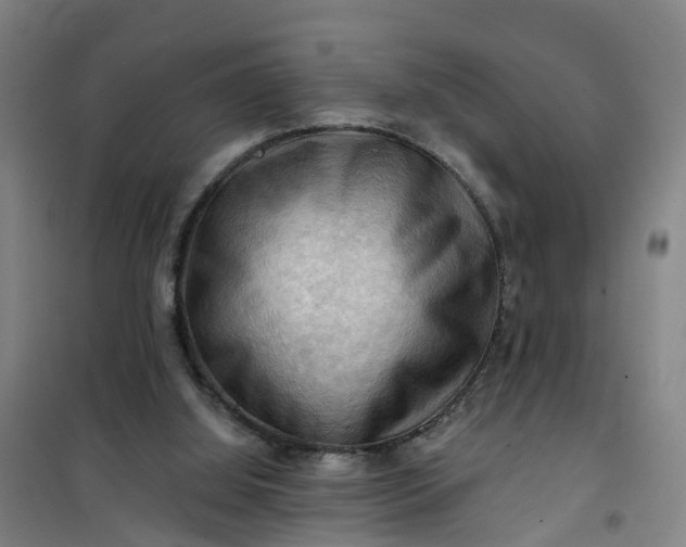 X0000101090060200807101558