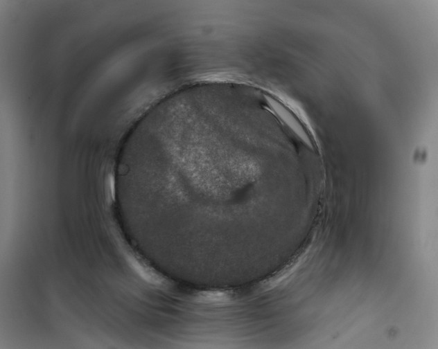 X0000101090061200807101558