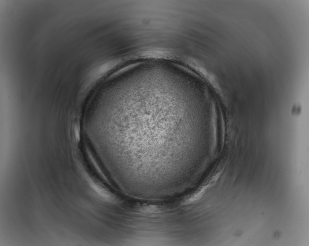 X0000101090062200807101558