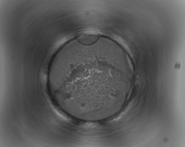 X0000101090063200807101558