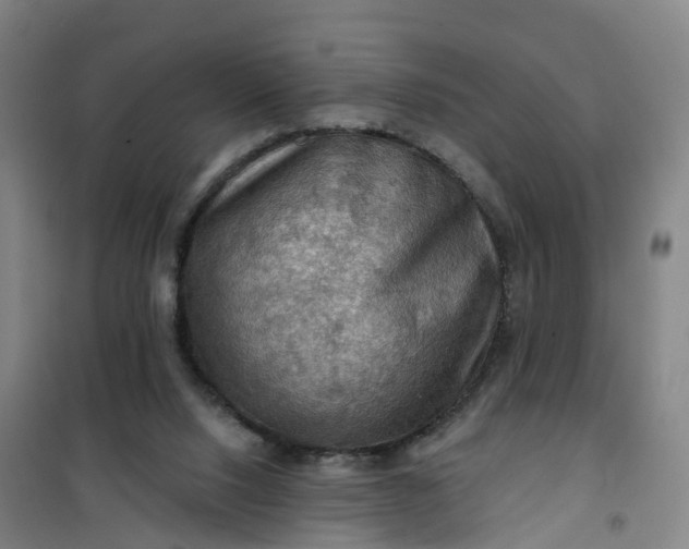 X0000101090064200807101558