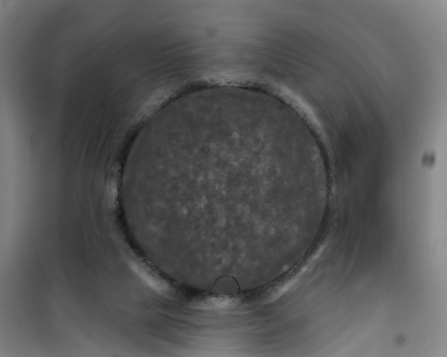 X0000101090065200807101558