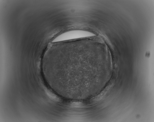 X0000101090066200807101558