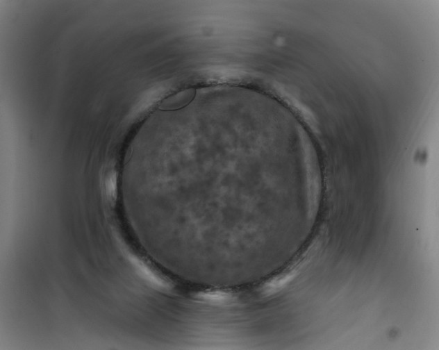 X0000101090067200807101558