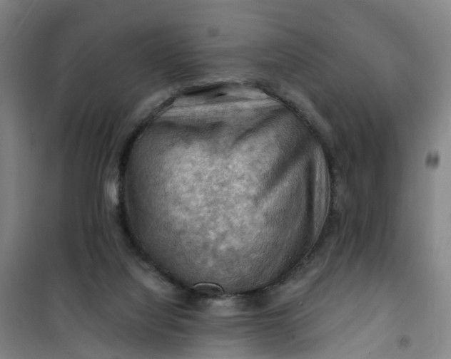 X0000101090068200807101558