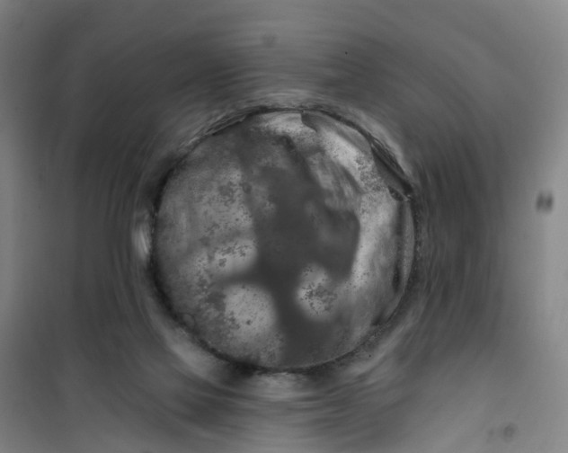 X0000101090069200807101558