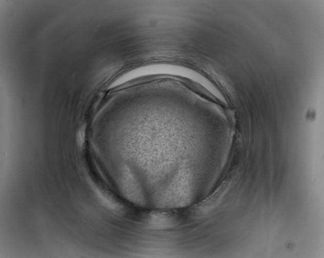 X0000101090070200807101558