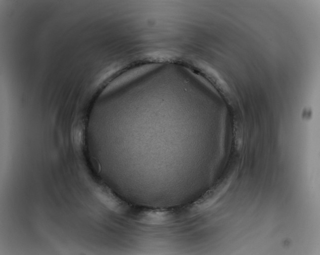 X0000101090071200807101558