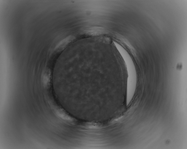 X0000101090073200807101558