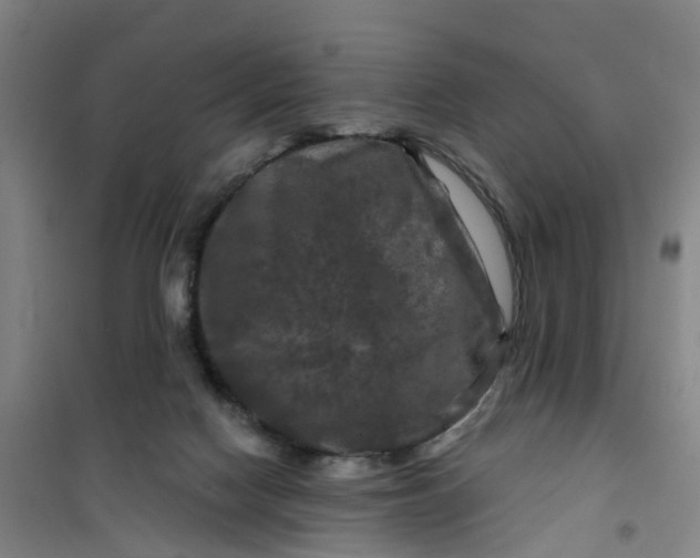 X0000101090074200807101558