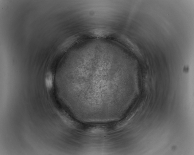 X0000101090075200807101558