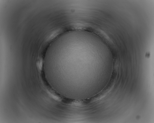 X0000101090076200807101558