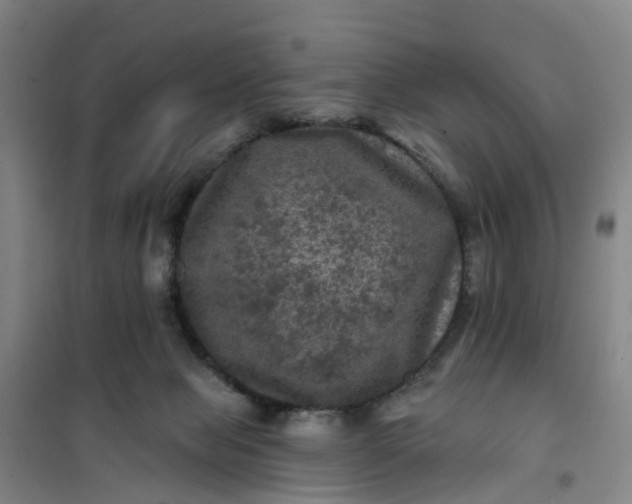 X0000101090077200807101558