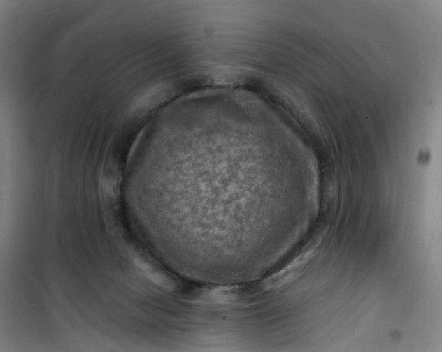 X0000101090078200807101559