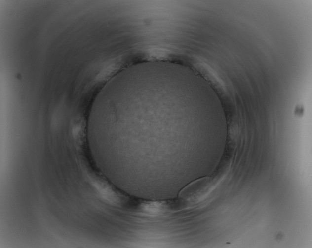 X0000101090079200807101559