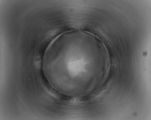 X0000101090080200807101559