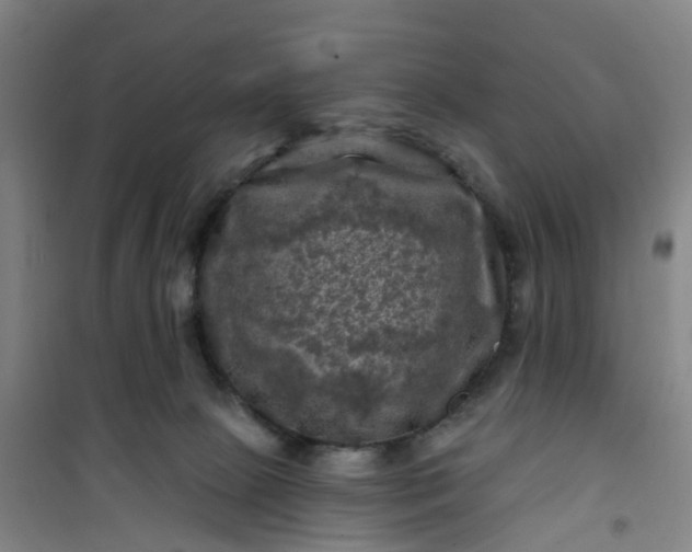 X0000101090081200807101559