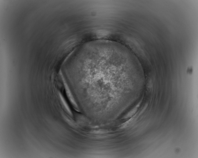 X0000101090082200807101559