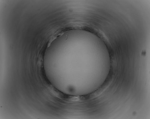 X0000101090083200807101559