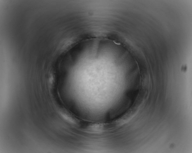 X0000101090084200807101559