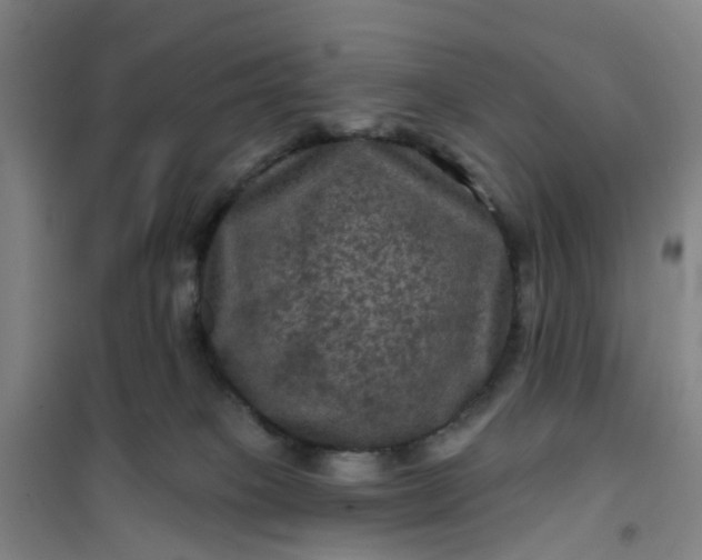 X0000101090085200807101559