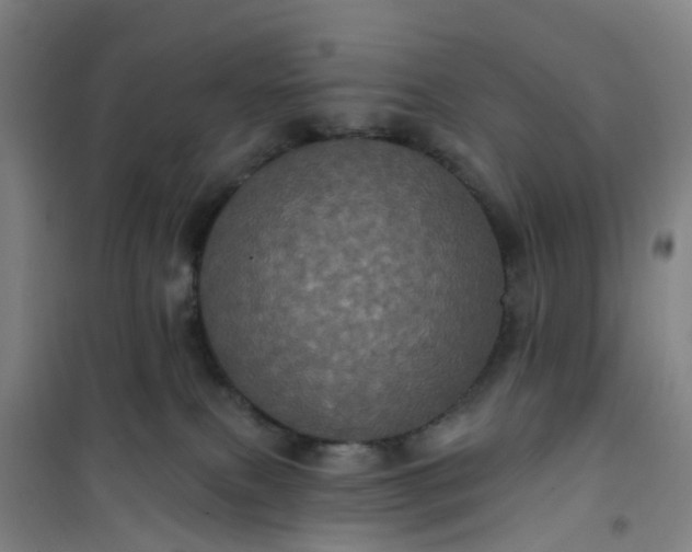 X0000101090087200807101559