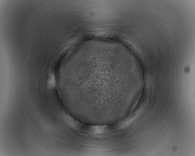 X0000101090089200807101559