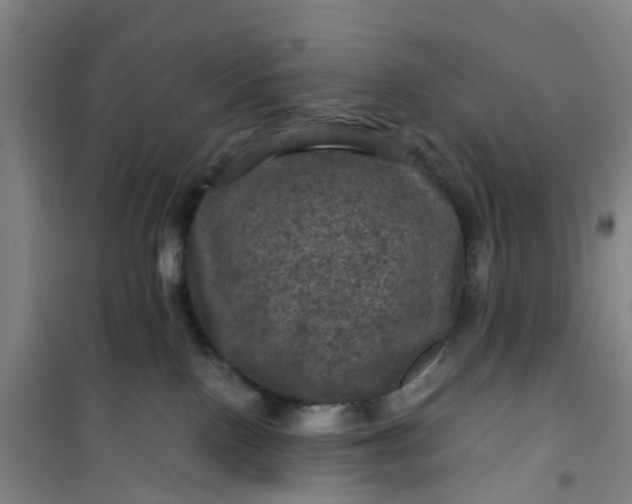 X0000101090090200807101559