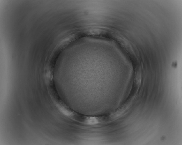 X0000101090091200807101559