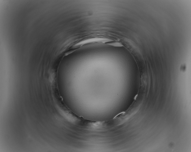 X0000101090092200807101559