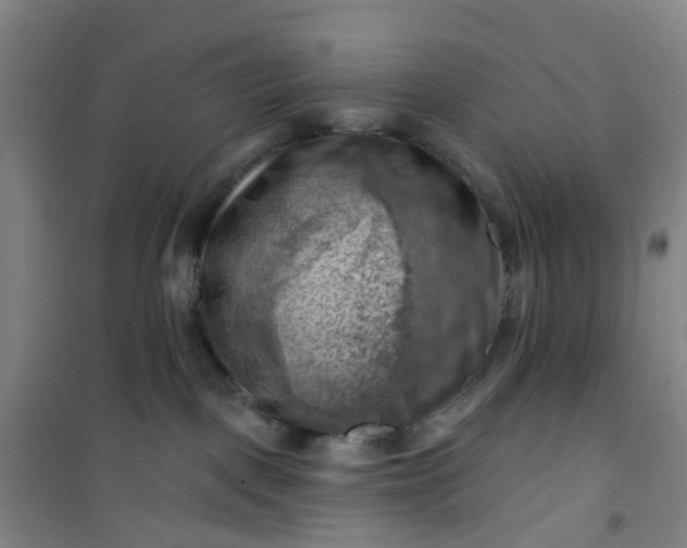 X0000101090093200807101559