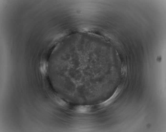 X0000101090094200807101559