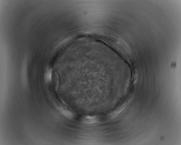 X0000101090095200807101559