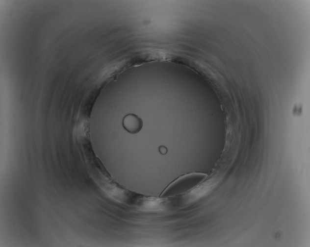 X0000101090096200807101559