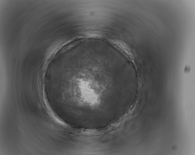 X0000101090097200807101558