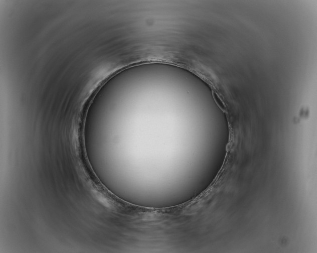 X0000101090098200807101558