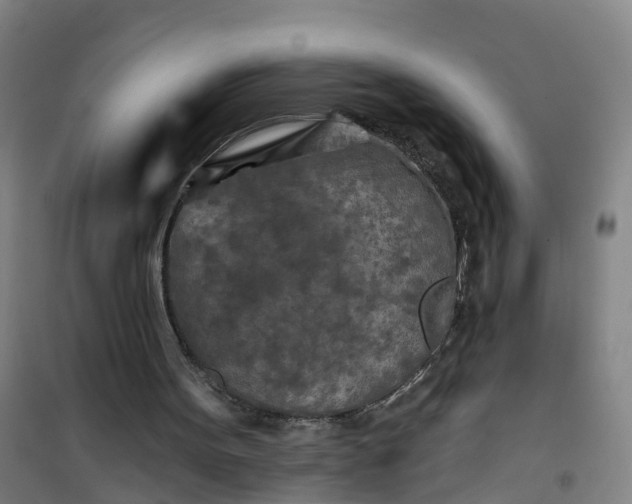 X0000101090099200807101558