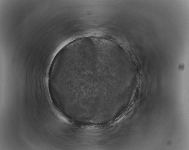 X0000101090100200807101558