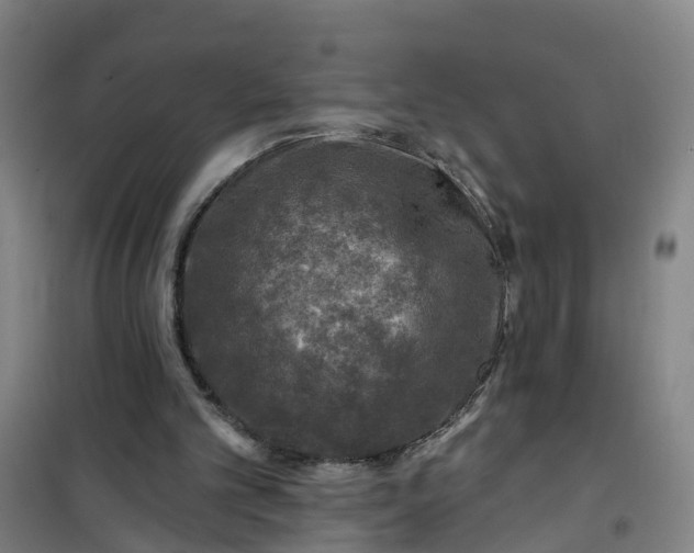 X0000101090101200807101558