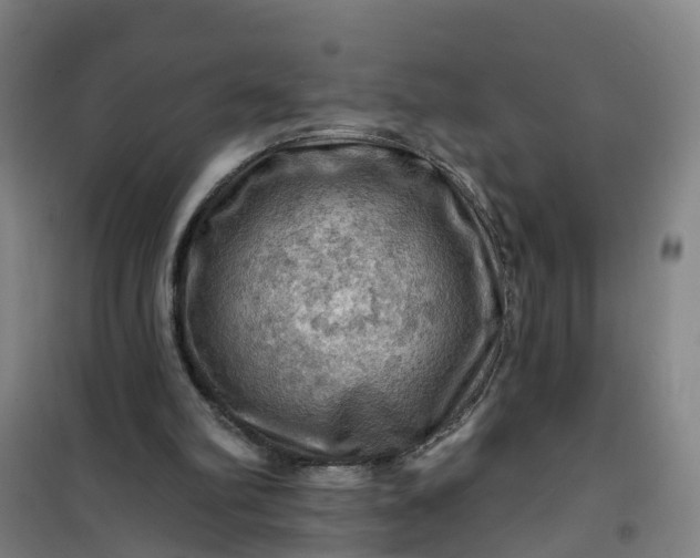 X0000101090102200807101558