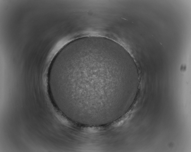 X0000101090103200807101558