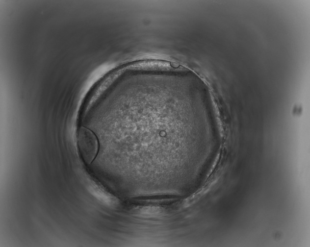 X0000101090104200807101558